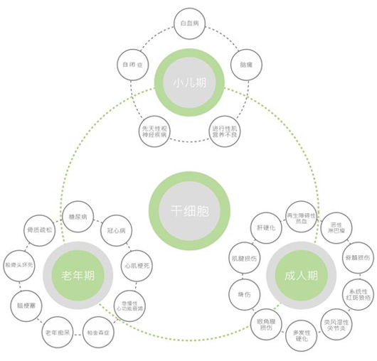 干細胞技術(shù)